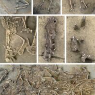 Misterio en Eslovaquia: hallan 77 esqueletos sin cabeza de hace más de 7,000 años