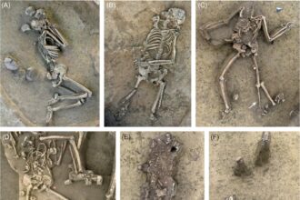 Misterio en Eslovaquia: hallan 77 esqueletos sin cabeza de hace más de 7,000 años