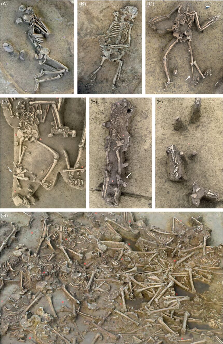 Misterio en Eslovaquia: hallan 77 esqueletos sin cabeza de hace más de 7,000 años