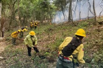 Medio Ambiente controla incendio forestal en Bonao y mantiene vigilancia en Sierra de Bahoruco