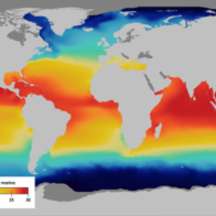 La temperatura global de la superficie del mar bate récords en junio, indica Copernicus