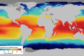 La temperatura global de la superficie del mar bate récords en junio, indica Copernicus