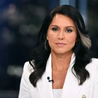 Tulsi Gabbard divulga documentos sobre Fauci y el financiamiento de investigaciones en Wuhan