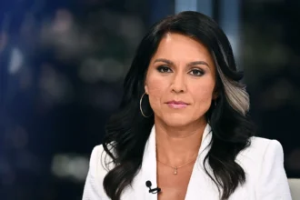 Tulsi Gabbard divulga documentos sobre Fauci y el financiamiento de investigaciones en Wuhan