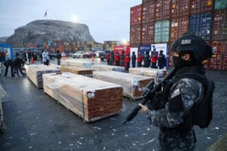 Chile decomisó más de 100 toneladas de droga oculta en cargamentos de madera boliviana