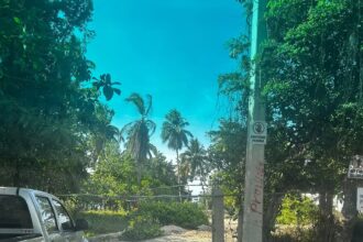 Medio Ambiente ordena paralizar construcción de muro en acceso a playa de Las Terrenas