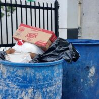 Ciudadanos señalan la basura como el principal problema ambiental que enfrenta RD