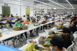 Proindustria y Oficina Senatorial impulsan plan de transformación para fortalecer la Zona Franca de Bonao