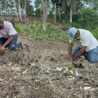 Medio Ambiente y Alcaldía realizan jornada de reforestación en zona depredada en Río Boyà