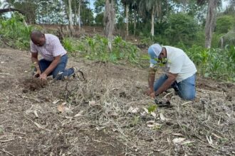 Medio Ambiente y Alcaldía realizan jornada de reforestación en zona depredada en Río Boyà