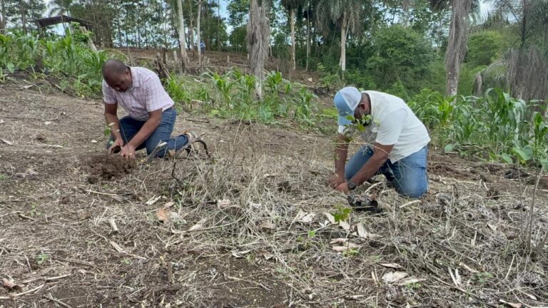 Medio Ambiente y Alcaldía realizan jornada de reforestación en zona depredada en Río Boyà