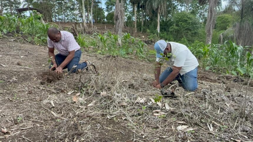 Medio Ambiente y Alcaldía realizan jornada de reforestación en zona depredada en Río Boyà