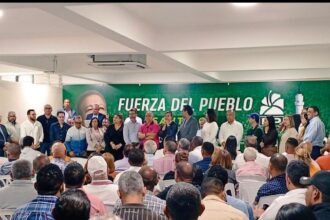 Designan a Jaime Perelló al frente de la Dirección del Sector Externo de la Fuerza del Pueblo en Santiago.