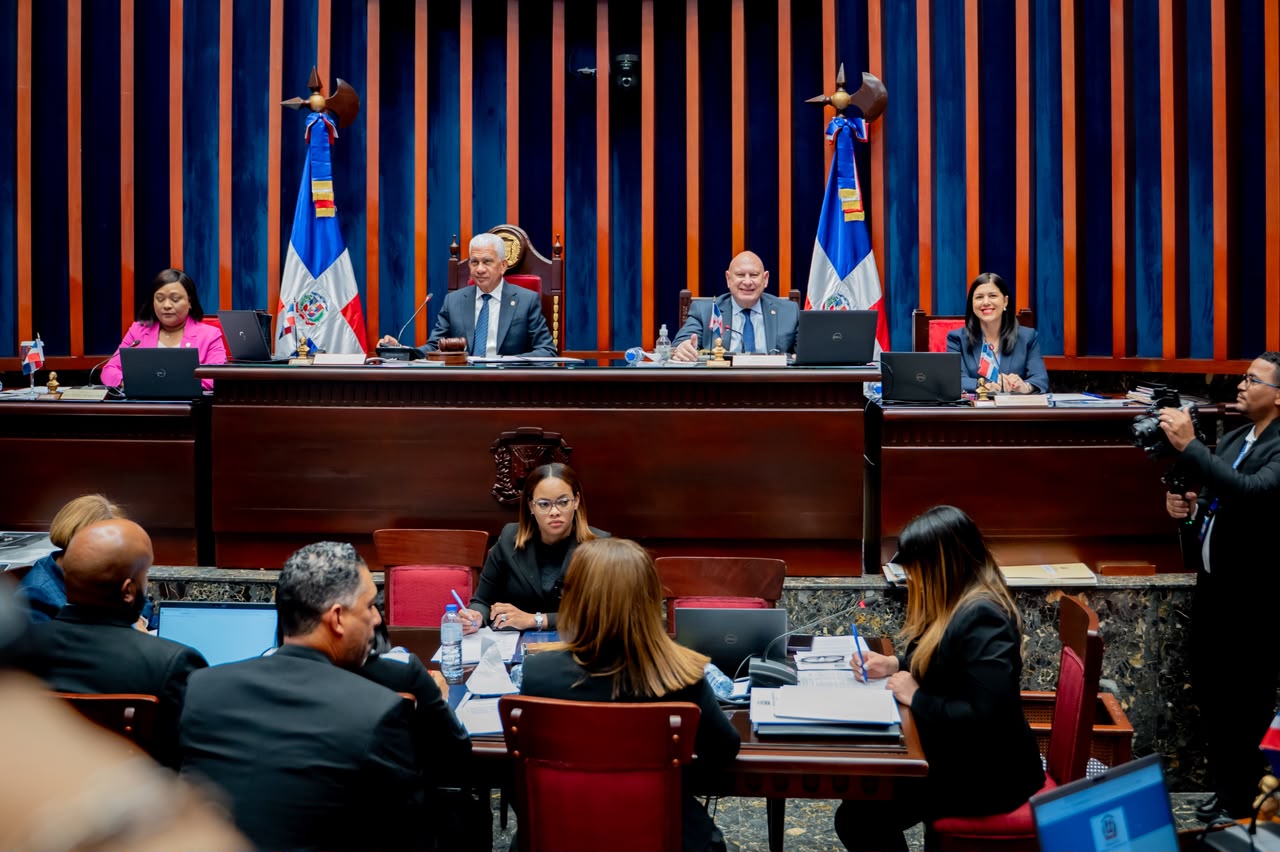 Senado rechaza propuestas de Omar Fernández para reforzar libertad de expresión en nuevo Código Penal