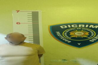 DICRIM ocupa pistola Glock 9 mm durante allanamiento en La Vega