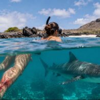 Un tiburón ataca a una turista australiana en una pierna en las islas Galápagos de Ecuador