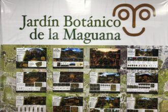 Ambientalista Nelson Bautista presenta detalles del Jardín Botánico de La Maguana y destaca su impacto regional