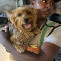 Popi es encontrado sano y salvo tras haber sido reportado como extraviado en Santo Domingo Oeste