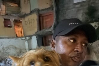 Popi es encontrado sano y salvo tras haber sido reportado como extraviado en Santo Domingo Oeste