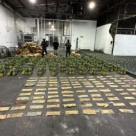 DNCD incauta piñas con 121 láminas de presunta cocaína y arresta a un hombre