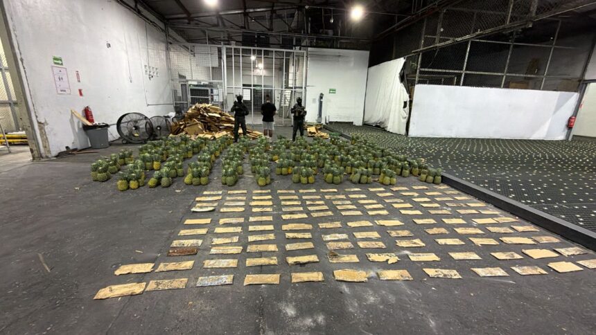 DNCD incauta piñas con 121 láminas de presunta cocaína y arresta a un hombre
