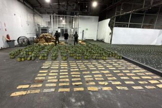 DNCD ocupa 31 kilos de cocaína en láminas durante operativo en el AILA