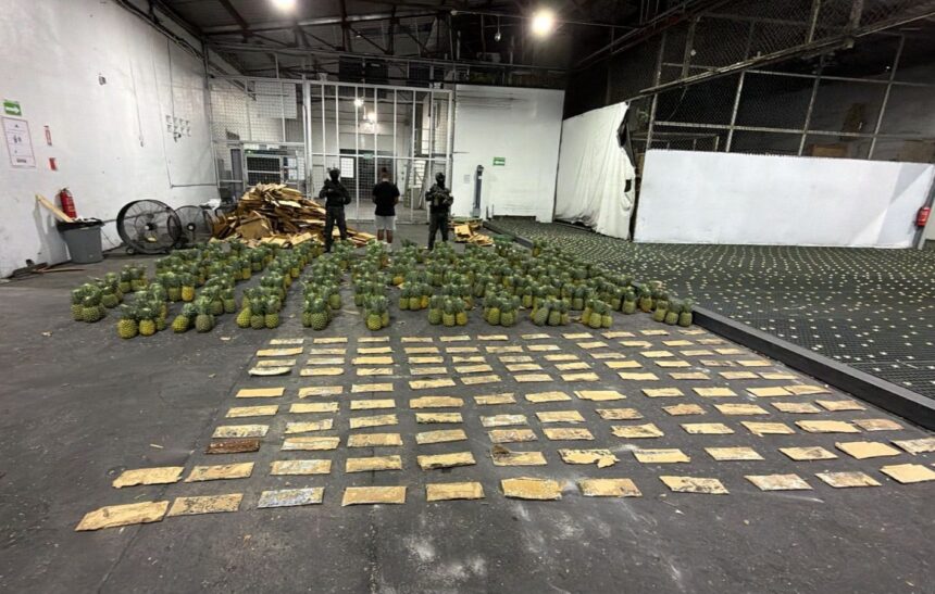 DNCD ocupa 31 kilos de cocaína en láminas durante operativo en el AILA