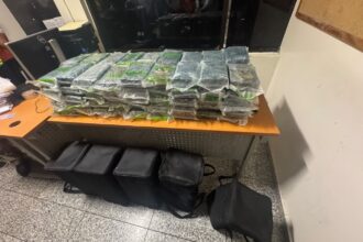 Ocupan en el AILA cinco bultos con 90 paquetes de presunta cocaína; arrestan a 11 personas
