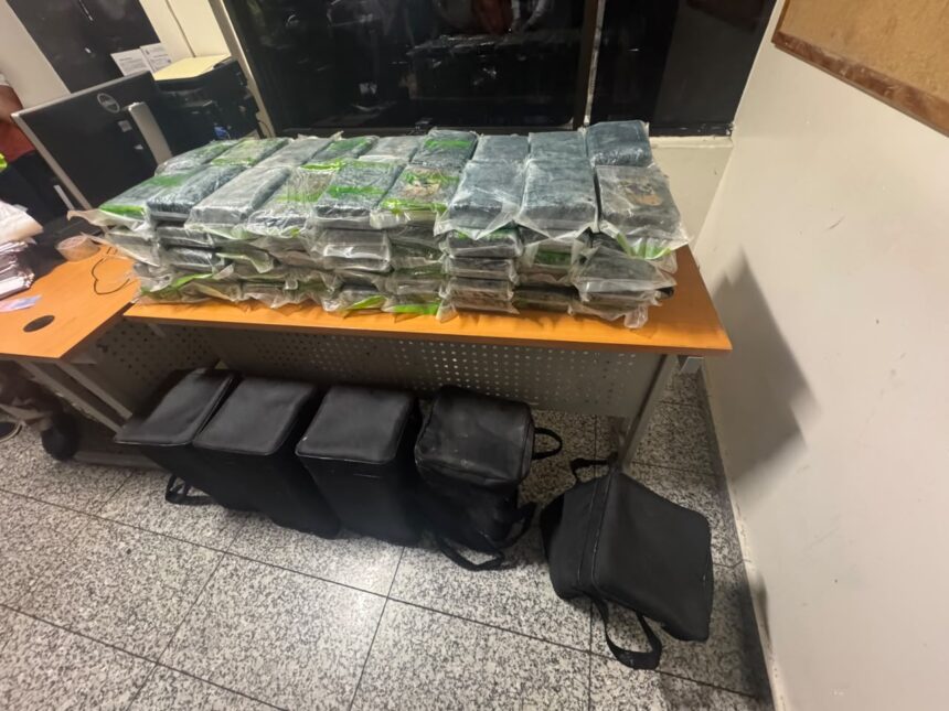 Ocupan en el AILA cinco bultos con 90 paquetes de presunta cocaína; arrestan a 11 personas