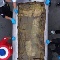 San Pedro de Macorís celebra con éxito la elaboración del pastel en hoja más grande del país