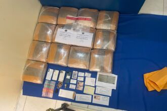 Intervienen en Azua alijo de 129 libras de marihuana ocultas en vehículo