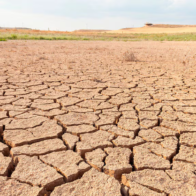El Niño se consolida en Asia-Pacífico y enciende alertas por sequías y crisis agrícola