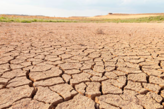 El Niño se consolida en Asia-Pacífico y enciende alertas por sequías y crisis agrícola