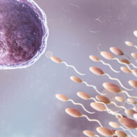Fertilidad: cómo cuidarla, cuándo buscar ayuda médica y qué hábitos pueden marcar la diferencia