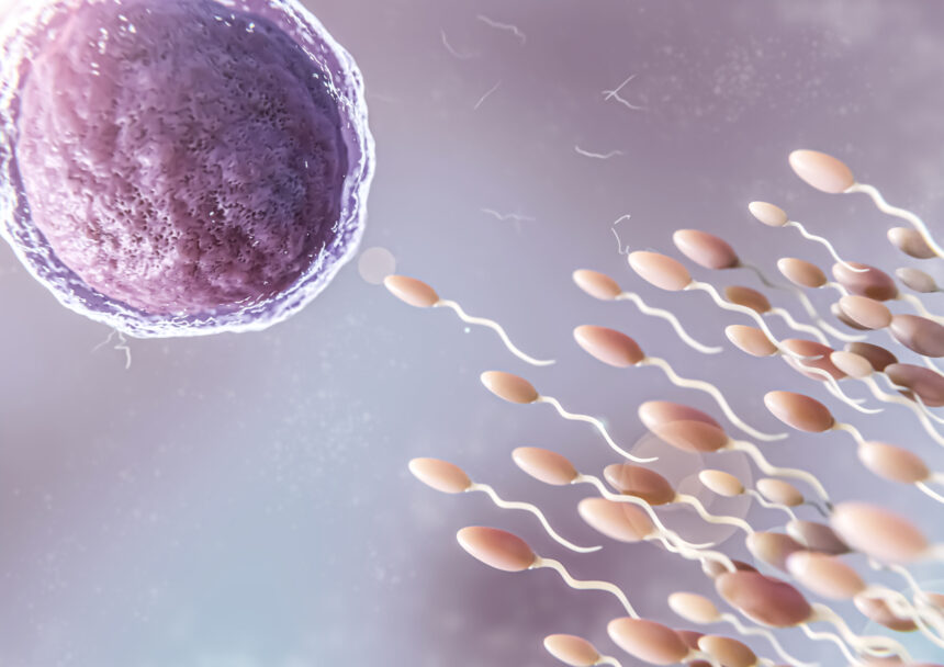 Fertilidad: cómo cuidarla, cuándo buscar ayuda médica y qué hábitos pueden marcar la diferencia