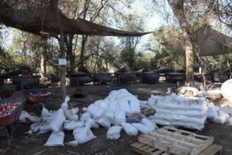 Incautan en México 24.400 litros de metanfetamina, la mayor cifra en mandato de Sheinbaum