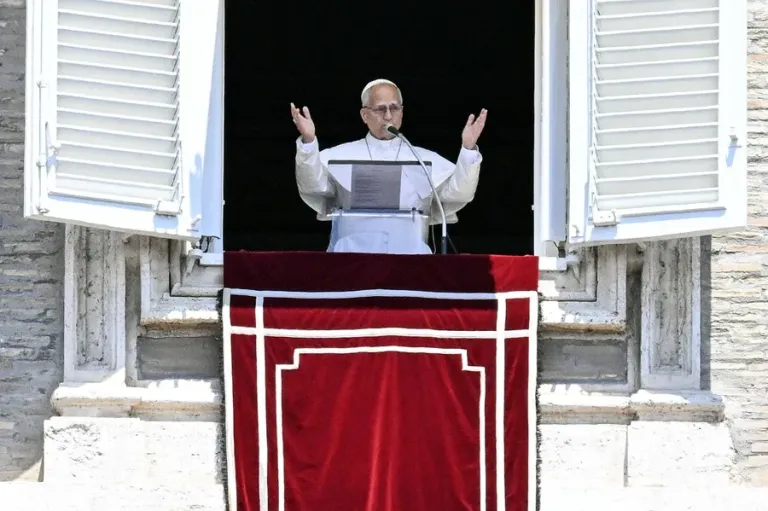 El papa agradece y anima a quienes ayudan en Venezuela tras el terremoto