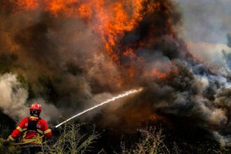 Incendios arrasan un 32 % más de superficie forestal en la UE que hace un año