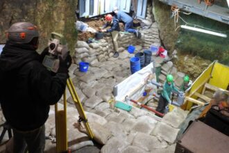 Tesoro prehistórico en Alemania: descubren esculturas de aves de marfil de hace 40.000 años