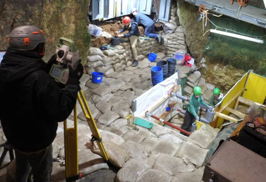 Tesoro prehistórico en Alemania: descubren esculturas de aves de marfil de hace 40.000 años