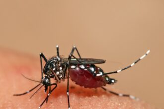 Ministerio de Salud reporta 1,411 casos acumulados de dengue en Costa Rica en lo que va del 2026