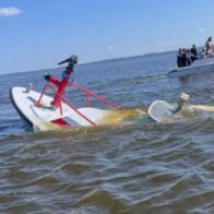 Una ballena hundió una lancha de bomberos en Nueva Jersey y desencadenó un rescate contrarreloj