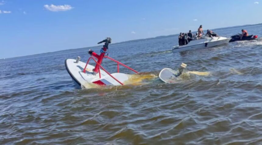Una ballena hundió una lancha de bomberos en Nueva Jersey y desencadenó un rescate contrarreloj