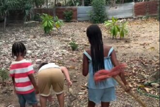 Cardi B vuelve a enviar a sus hijos a vacacionar al campo dominicano