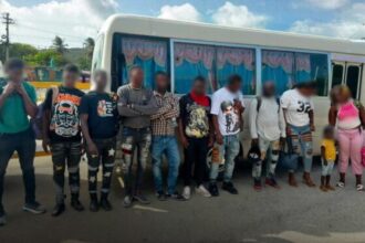 Detienen a dos dominicanos por transportar a 11 haitianos en condición migratoria irregular