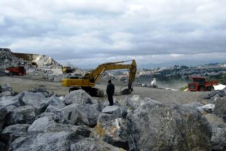 Gobierno de Guatemala presenta 208 denuncias por delitos ambientales