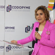 ProCompetencia plantea modernizar ley de competencia para enfrentar desafíos de la economía digital