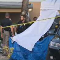 Muere niño de dos años tras quedar dentro de un vehículo bajo altas temperaturas en Florida