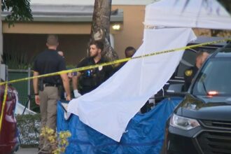 Muere niño de dos años tras quedar dentro de un vehículo bajo altas temperaturas en Florida