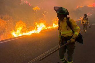 Al menos doce muertos y desalojos masivos por el incendio de Los Gallardos en Almería